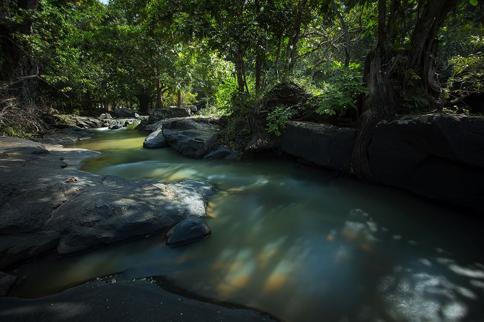 Read more about the article ป่าไม้อุทยานแห่งชาติน้ำตกตาดโตน